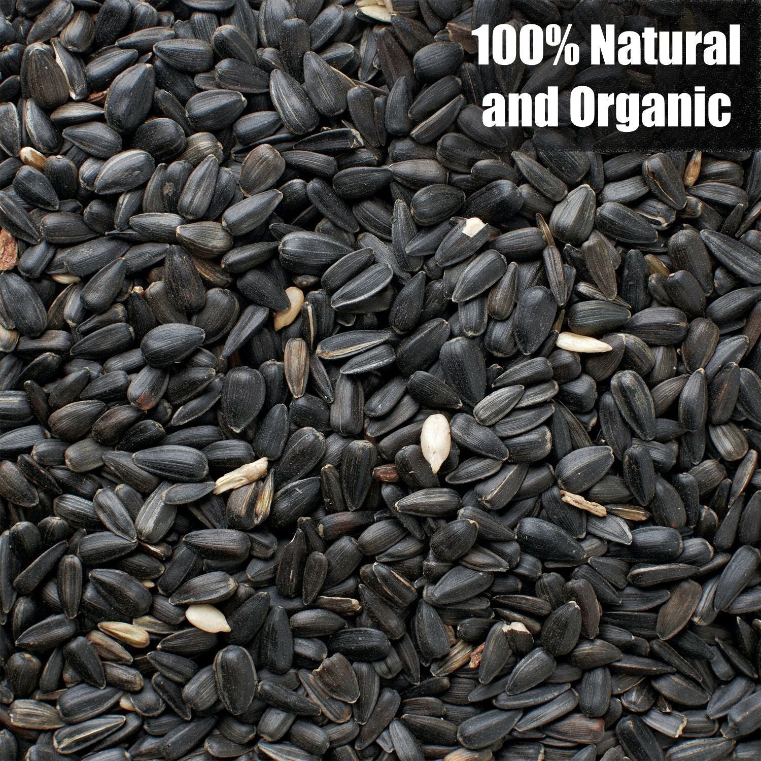Wildlife Black Oil Sunflower Seeds - Image 5