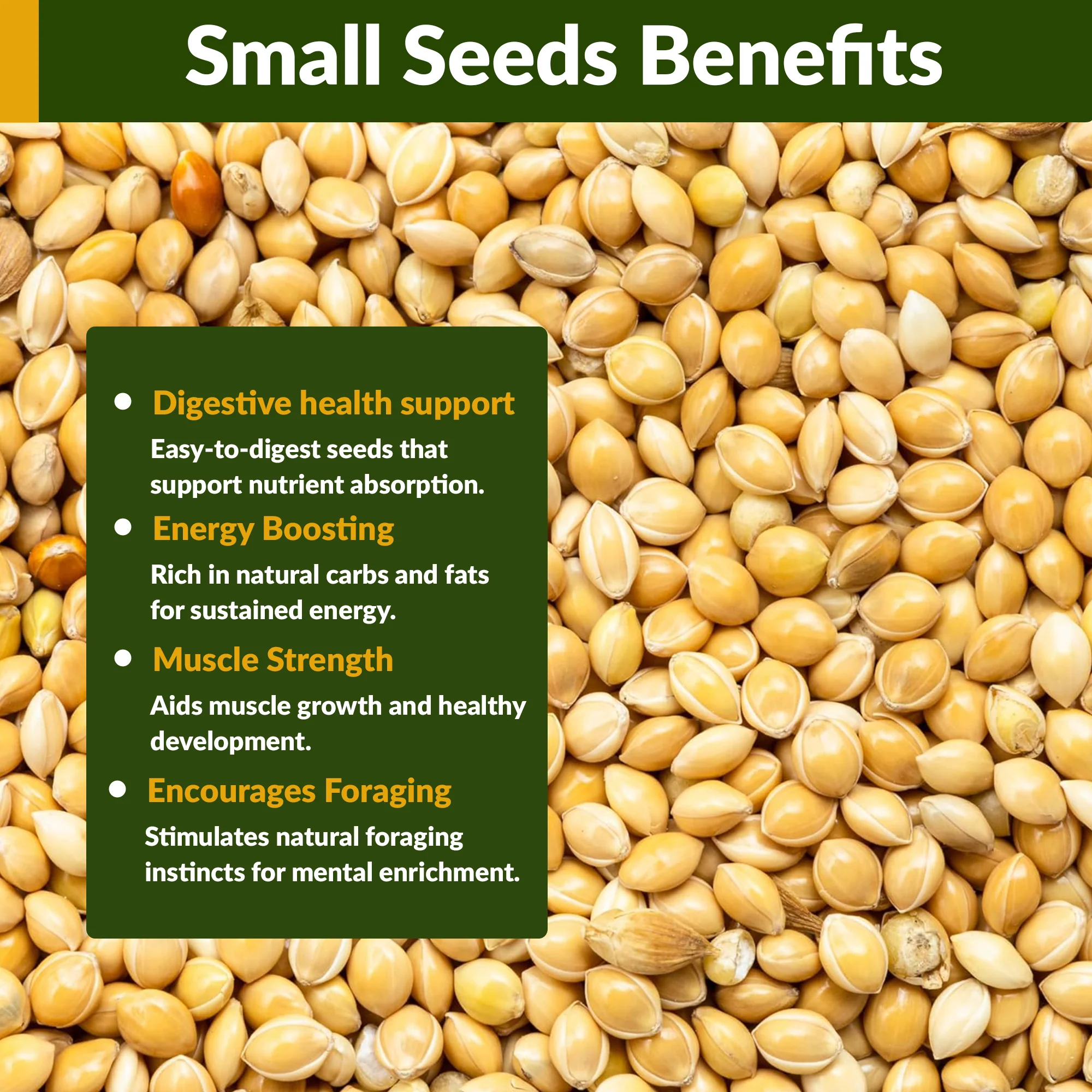 Organic Proso Millet - Image 3