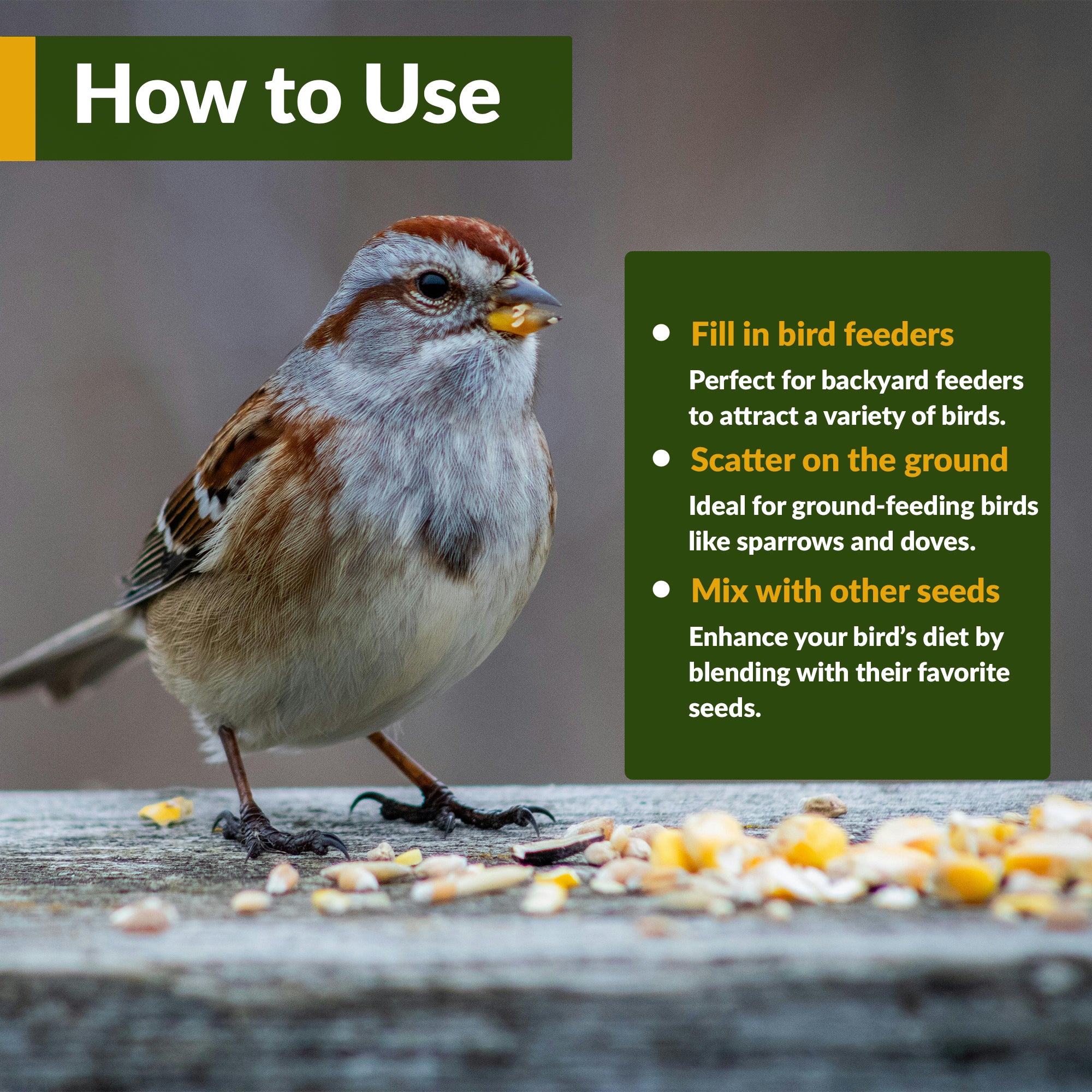 Organic Proso Millet - Image 4