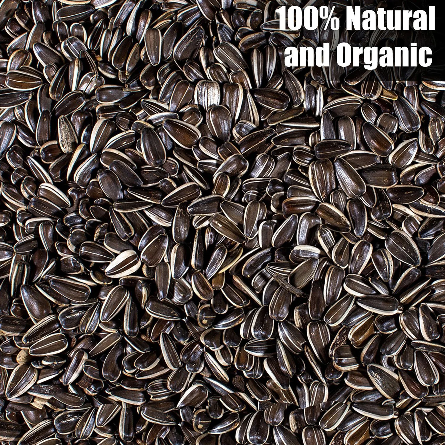 Wildlife Striped Sunflower Seeds - Image 3