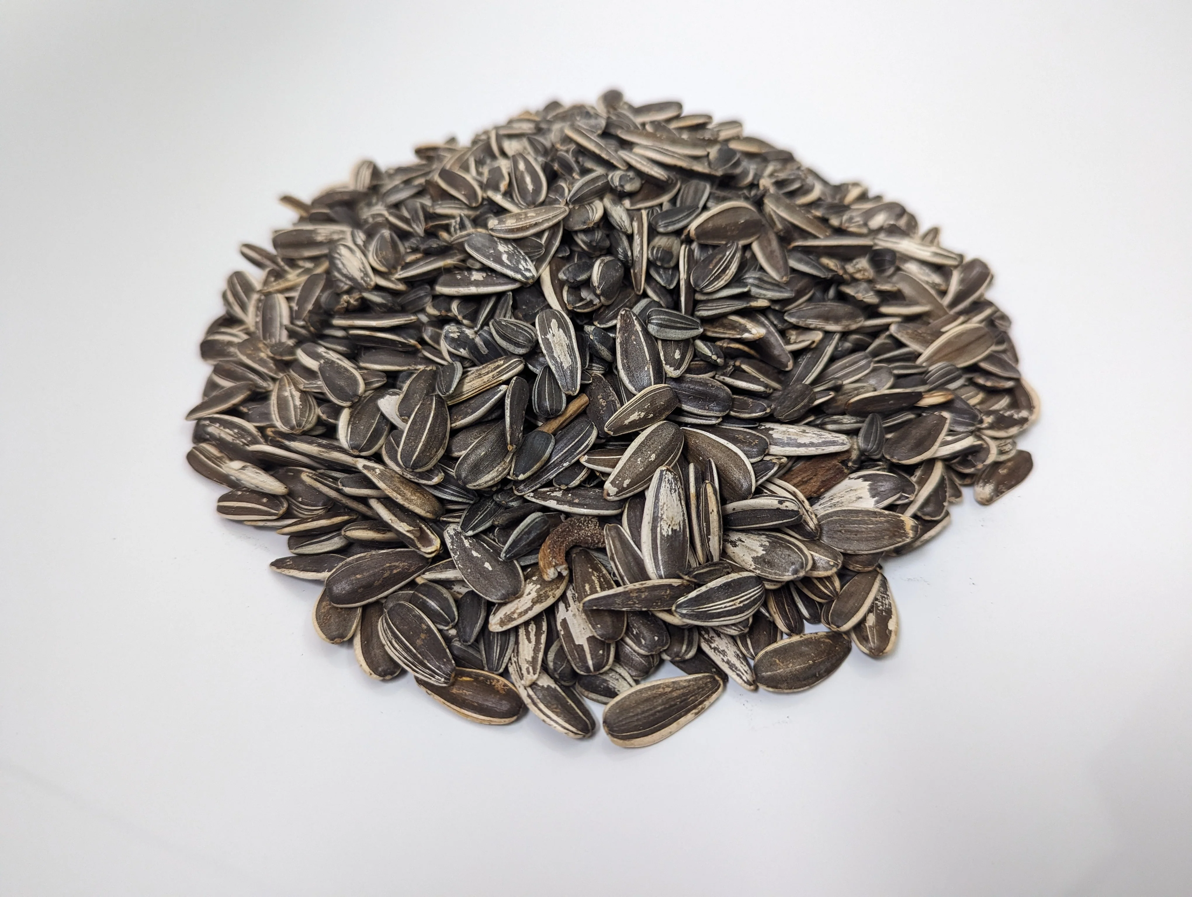 Wildlife Striped Sunflower Seeds - Image 5